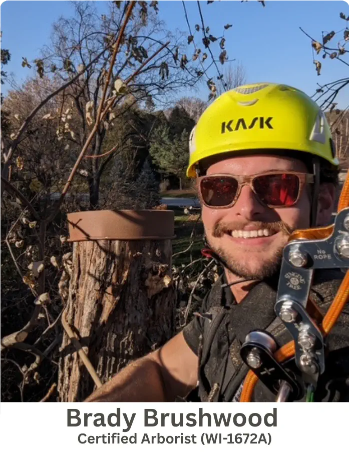 Brady Brushwood - Certified Arborist