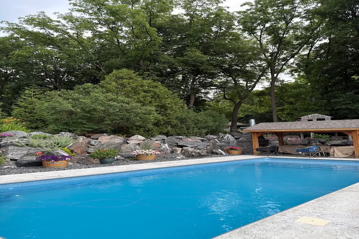 Tree maintenance for trees near a pool